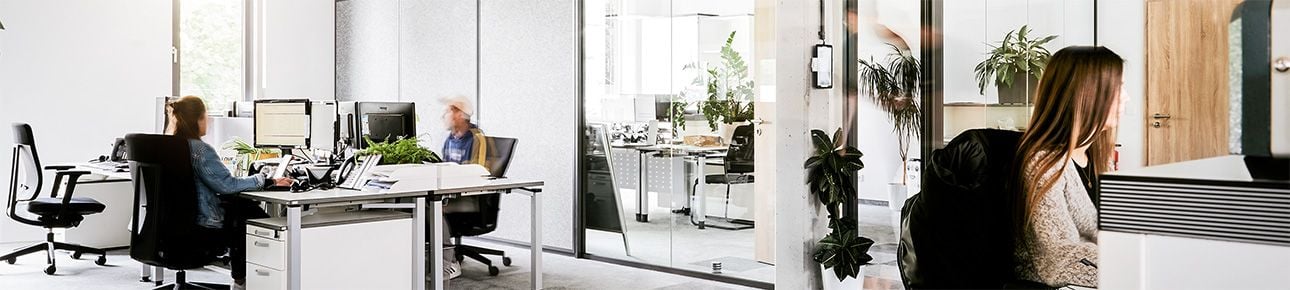 SPRINTIS Office
