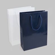 Large Gift Bags