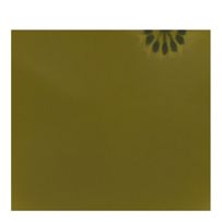 morepic-1