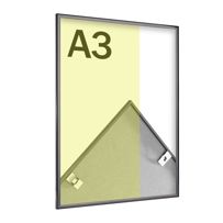 morepic-1