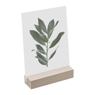 Card holder wood 100 mm | white  | straight insertion slot  | oiled 