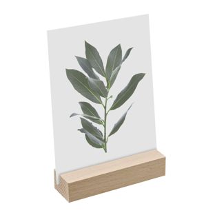 Card holder wood 100 mm | Beech  | straight insertion slot  | oiled 