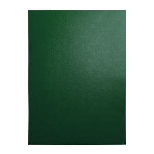 Cover A4, Nobless, without groove, green 