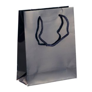 Gift bag, glossy null | 20 x 25 x 8 cm