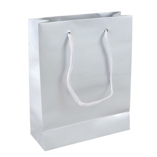 Gift bag, glossy null | 20 x 25 x 8 cm