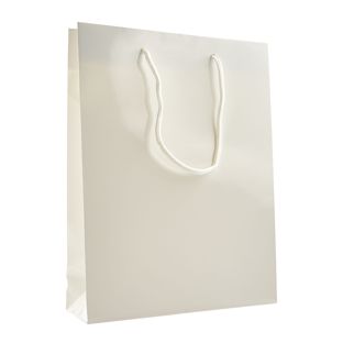 Gift bag, glossy null | 26 x 36 x 10 cm