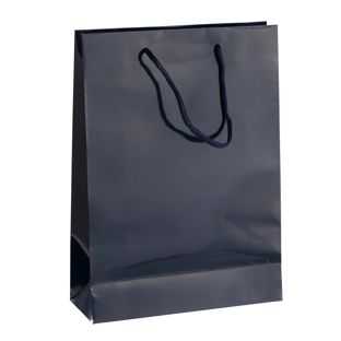 Gift bag, glossy null | 26 x 36 x 10 cm