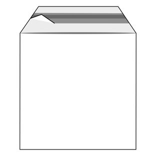 Bags with flap, PE foil, recloseable, transparent 200 x 200 mm  | 50 µm