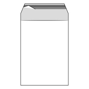 Bags with flap, PE foil, recloseable, transparent 200 x 290 mm  | 50 µm
