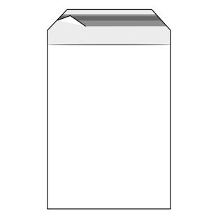 Bags with flap, PE foil, recloseable, transparent 240 x 320 mm