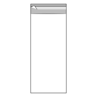Bags with flap, OPP foil, recloseable, transparent 100 x 250 mm
