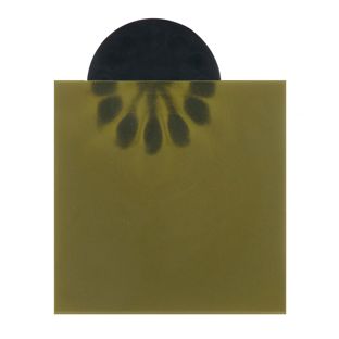Magnetic field viewing film 