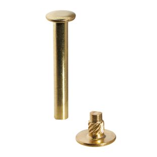 Binding screws with hammertop, brass-plated 40 mm