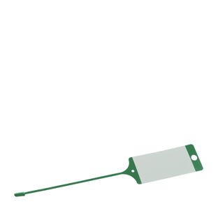 Workshop key tags FIX, neutral green 