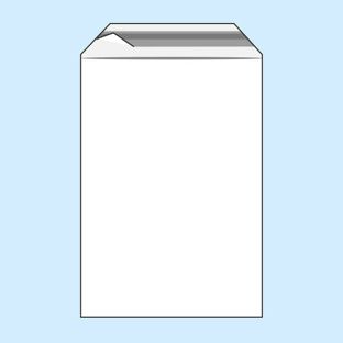 Bags with flap, PE foil, recloseable, transparent 80 x 120 mm  | 50 µm