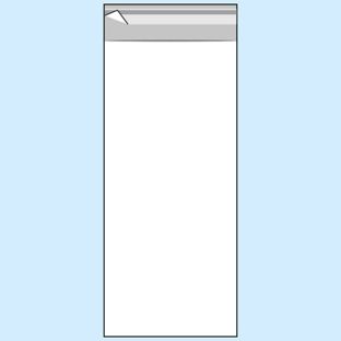 Bags with flap, OPP foil, recloseable, transparent 100 x 250 mm 