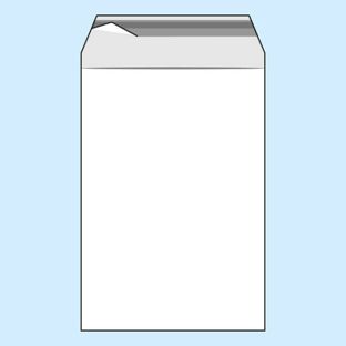 Bags with flap, PE foil, recloseable, transparent 105 x 150 mm  | 50 µm