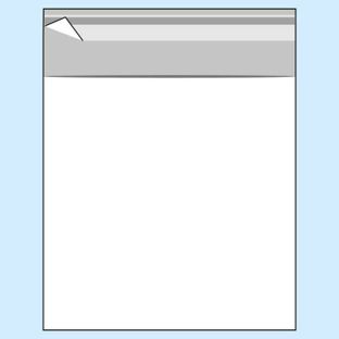 Bags with flap, OPP foil, recloseable, transparent 110 x 110 mm 