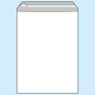 Bags with flap, PP foil, recloseable, transparent 300 x 400 mm  | 50 µm