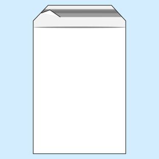 Bags with flap, PE foil, recloseable, transparent 350 x 450 mm  | 50 µm