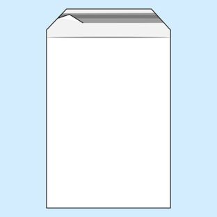 Bags with flap, PE foil, recloseable, transparent 400 x 500 mm  | 50 µm