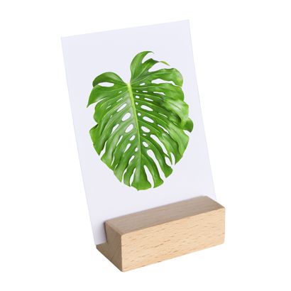 Card holder wood null | null | 60 mm | null