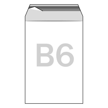 Bags with flap, PE foil, recloseable, transparent 130 x 180 mm - B6