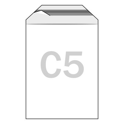 Bags with flap, PE foil, recloseable, transparent 165 x 220 mm  | 50 µm