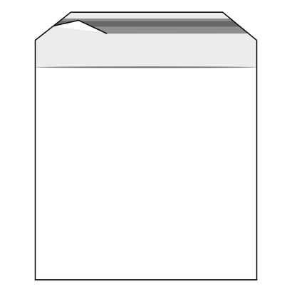 Bags with flap, PE foil, recloseable, transparent 220 x 220 mm