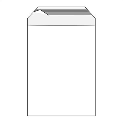 Bags with flap, PE foil, recloseable, transparent 250 x 350 mm