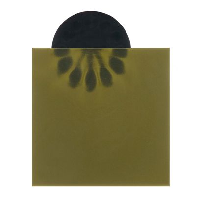 Magnetic field viewing film 