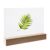 Card holder wood straight insertion slot | Beech | 150 mm | null