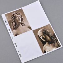 morepic-2