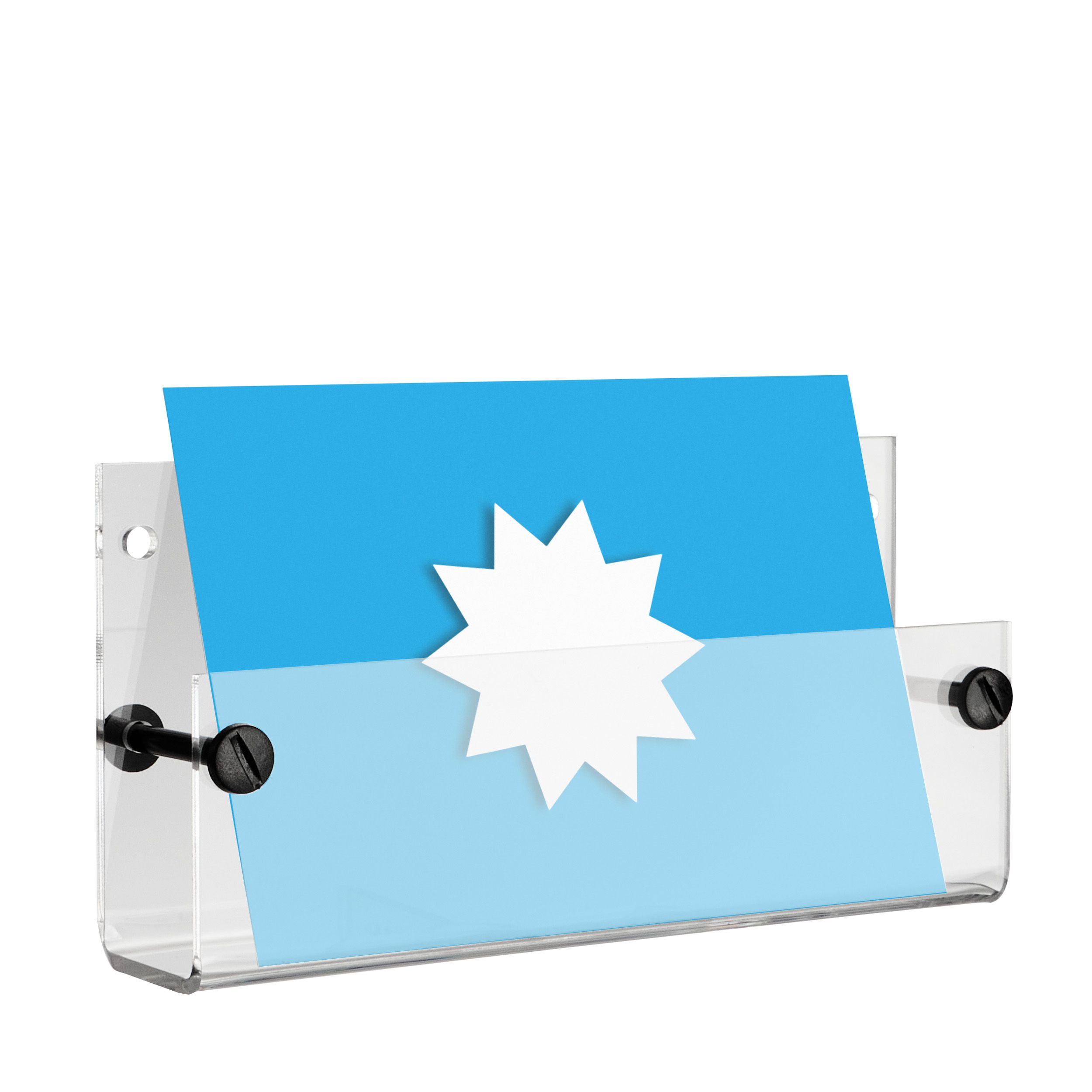 A6 Wall leaflet holder, acrylic, transparent PTXA 1 x | SPRINTIS