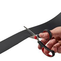 morepic-3