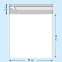 morepic-5