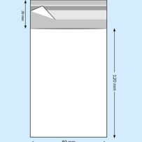 morepic-5