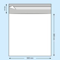 morepic-5