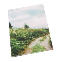 morepic-6