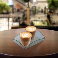 morepic-4